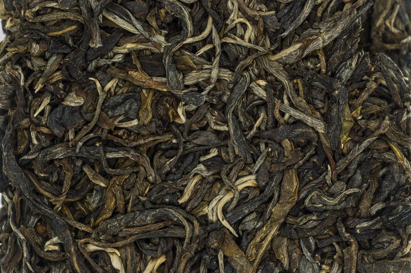 Dà shù chá