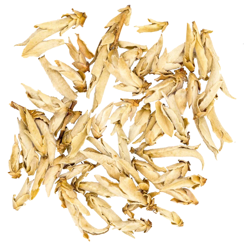Yá bāo